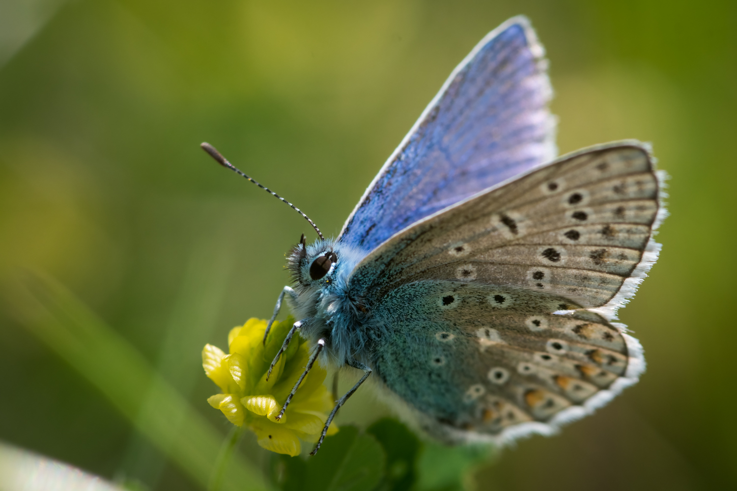 _DSC9188-Edit