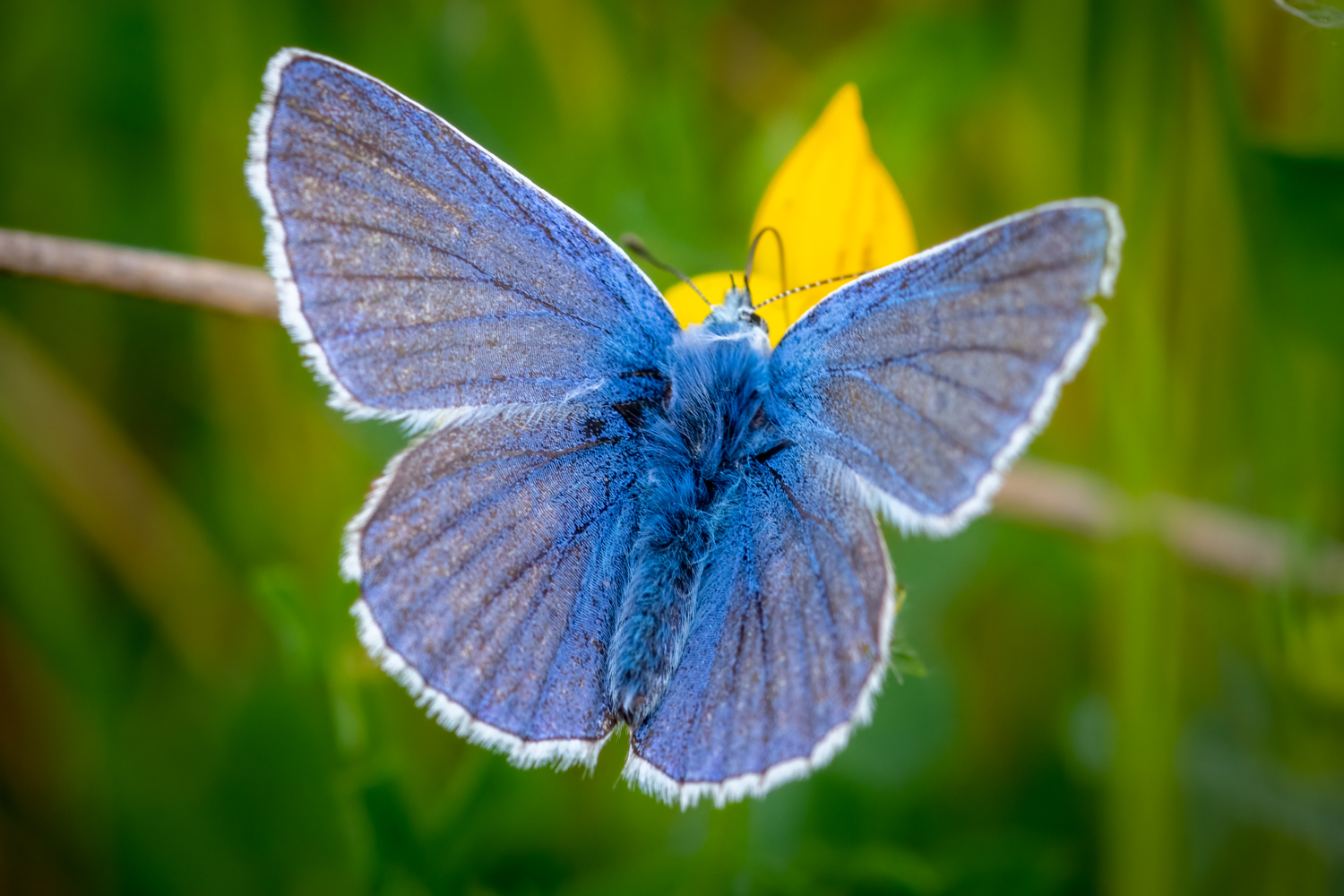 _DSC9248-Edit